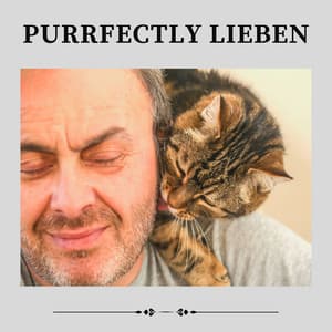 Purrfectly Lieben - Katzenmusik