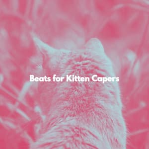 Beats for Kitten Capers - Vancouver Chill Out Jazz
