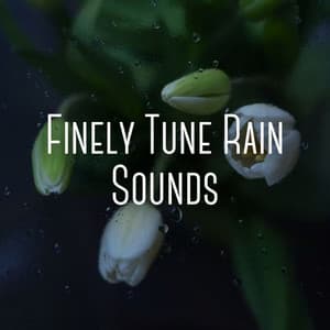 Finely Tune Rain Sounds - Rest & Relax Nature Sounds Artists