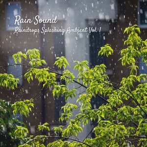 Rain Sound: Raindrops Splashing Ambient Vol. 1 - Ocean Waves
