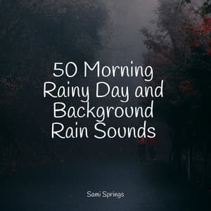 50 Morning Rainy Day and Background Rain Sounds - Restaurant Background Music