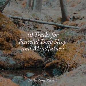 50 Tracks for Peaceful Deep Sleep and Mindfulness - Meditation Relaxation Club
