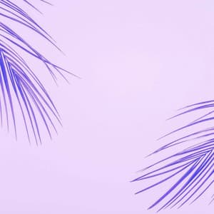 Scintillating Music for Studying Legends - Piano Duo - Classic French Jazz