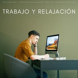 Trabajo Y Relajación: Naturaleza Y Sonidos Relajantes Para Un Trabajo Efectivo - Los paisajes sonoros de la naturaleza