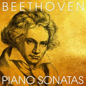Beethoven - Piano Sonatas - Dubravka Tomšič