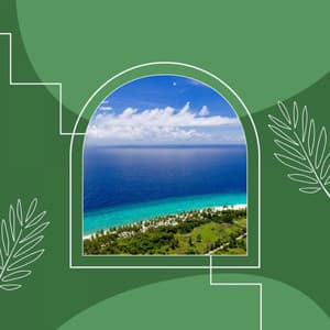 Personal Wellness - Background Music - Cafe Musique Francaise