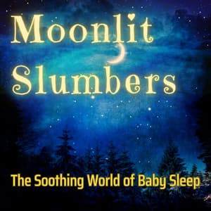 Moonlit Slumbers: The Soothing World of Baby Sleep - Sleep Soothing Waves