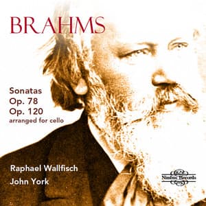 Brahms: Cello Sonatas Vol. 2 - Johannes Brahms