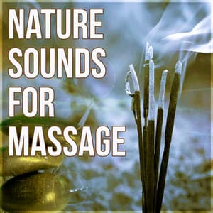 Nature Sounds for Massage – Inner Peace, Massage Music, Relaxation Meditation, Reiki Therapy, Spa Wellness, Yoga, Regeneration, Body Therapy - Beautiful Spa Collection
