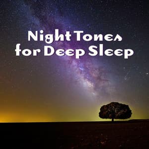Night Tones for Deep Sleep: Instrumental New Age for Relaxation and Regeneration During Sleep, Cure for Trouble Sleeping, Natural Sleep Aid - Deep Sleep Music Zone