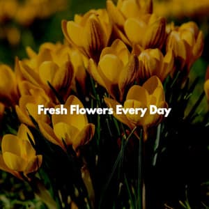Fresh Flowers Every Day - Jazz Lounge Cafe