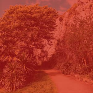 Cultured Ambiance for Taking Notes - Easy Listening Soft Jazz