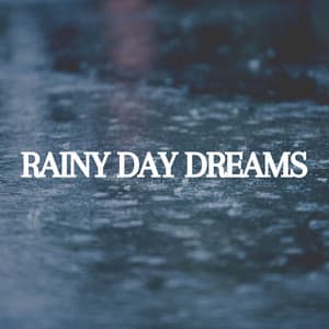 Rainy Day Dreams - Rain Drops for Sleep