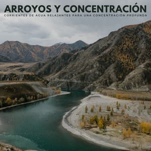Arroyos Y Concentración: Corrientes De Agua Relajantes Para Una Concentración Profunda - Ruido Para Concentración