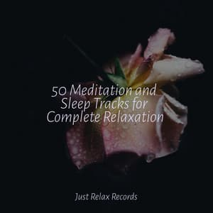 50 Meditation and Sleep Tracks for Complete Relaxation - Reiki Music