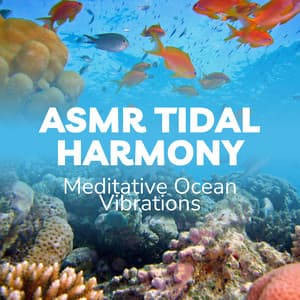 ASMR Tidal Harmony: Meditative Ocean Vibrations - Waveseekers