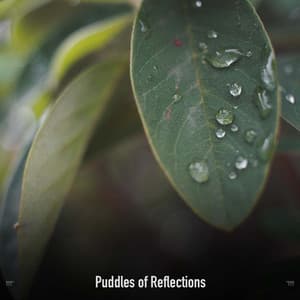 !!!!" Puddles of Reflections "!!!! - Sonidos De Truenos y Lluvia