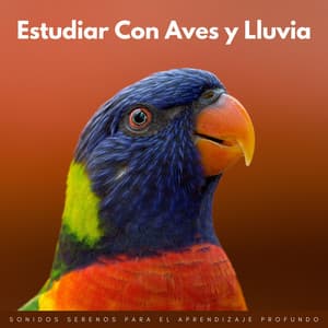 Estudiar Con Aves Y Lluvia: Sonidos Serenos Para El Aprendizaje Profundo - Sonidos de lluvia y tormentas fuertes
