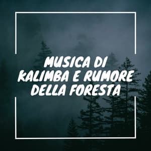Musica di kalimba e rumore della foresta - Musica Curativa Club