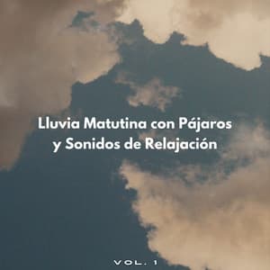Lluvia Matutina Con Pájaros Y Sonidos De Relajación Vol. 1 - Llover fuerte