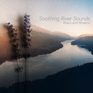 Soothing River Sounds - Rivers and Streams