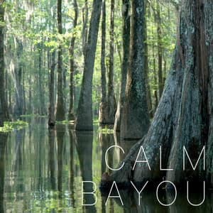 Calm Bayou - The White Noise Zen & Meditation Sound Lab
