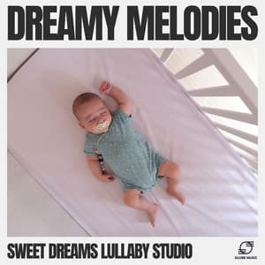 Dreamy Melodies - Sweet Dreams Lullaby Studio