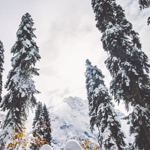 Winter Sleep - Yoga Flow