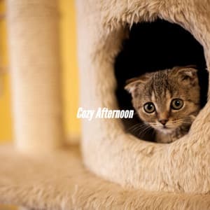 Cozy Afternoon - Jazz Lounge Bar Ambiance