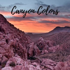 Canyon Colors - The Noise Project