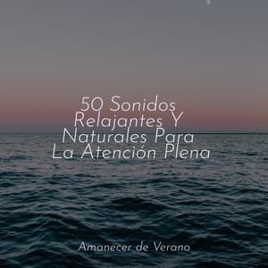 50 Sonidos Relajantes Y Naturales Para La Atención Plena - Música Relajante para Bebés