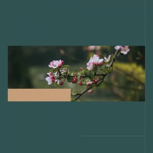 Music for Mental Recharging - Jazz Trio