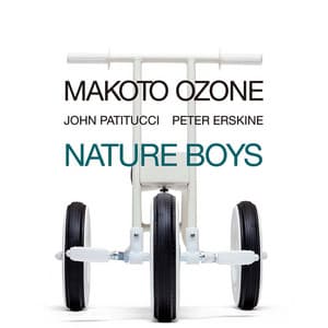 ネイチャー・ボーイズ - Makoto Ozone