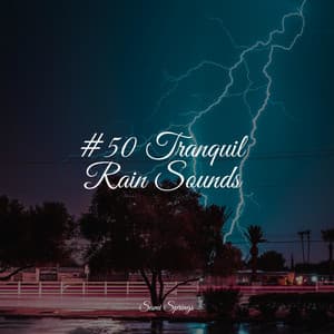 #50 Tranquil Rain Sounds - Ruído Branco