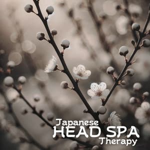 Japanese Head Spa Therapy - Japanese Sweet Dreams Zone