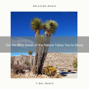 2020 Best: Get the Best Sleep as the Nature Takes You to Sleep - Factorial FX