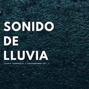 Sonido De Lluvia: Lluvia Torrencial Y Chaparrones Vol. 1 - Tormentas Naturales