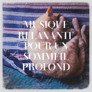 Musique Relaxante Pour Un Sommeil Profond - Oasis de Détente et Relaxation