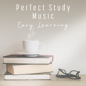 Perfect Study Music - Magic World Music Ensemble