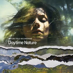 Daytime Nature - Nature Field Recordings