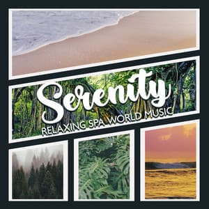 Serenity Relaxing Spa World Music for Meditation & Positive Thinking - Relaxing Nature Sounds Collection