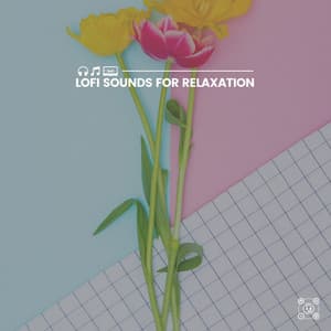 Lofi Sounds for Relaxation - ChillHop Beats