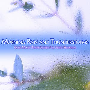 Morning Rain and Thunderstorms: Good Mood Nature Sounds For Gentle Relaxation - Nature Sounds Academy