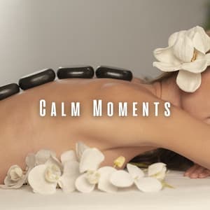 Calm Moments: Music for Spa Serenity - Acupuncture Music