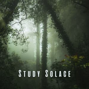 Study Solace: Serene Nature and Chill Sounds - Nature Ambience