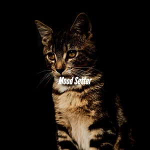 Mood Setter - Classic Relaxing Jazz