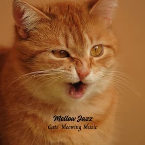 Mellow Jazz: Cats' Meowing Music - Smooth Jazz