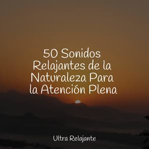 50 Sonidos Relajantes de la Naturaleza Para la Atención Plena - Hipnose Natureza Sons Coleção