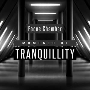 Moments of Tranquillity - Focus Chamber