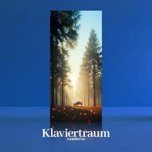 Klaviertraum - Pianomuziek